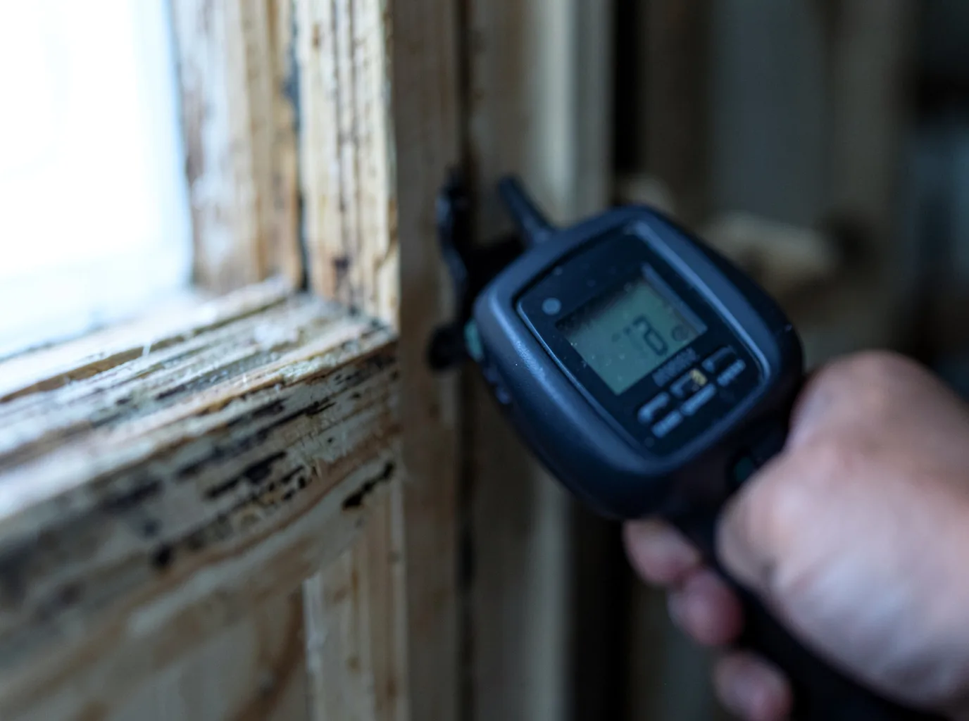 Moisture Inspection And Documentation in Anderson, TX